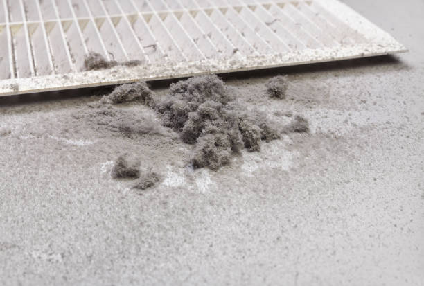Best Ventilation Cleaning Services  in Plymouth, MN