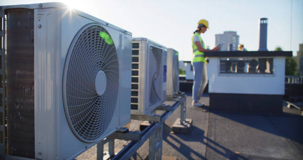 Best Air Duct Mold Removal  in Plymouth, MN